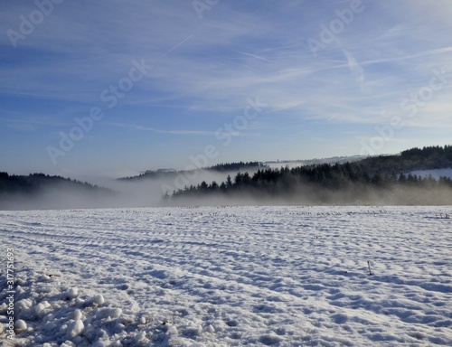 winter landscape with hills and fog