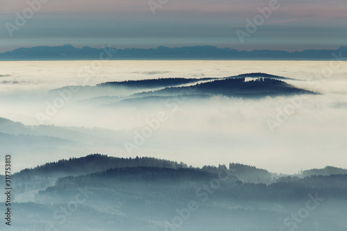 forest covered with snow and ice frost in inversion clouds photo