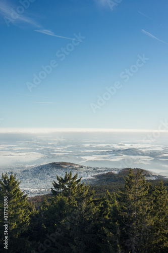 forest covered with snow and ice frost in inversion clouds