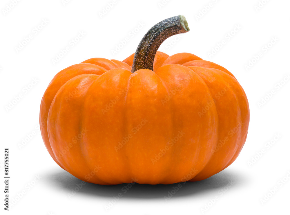 Obraz premium Small Pumpkin