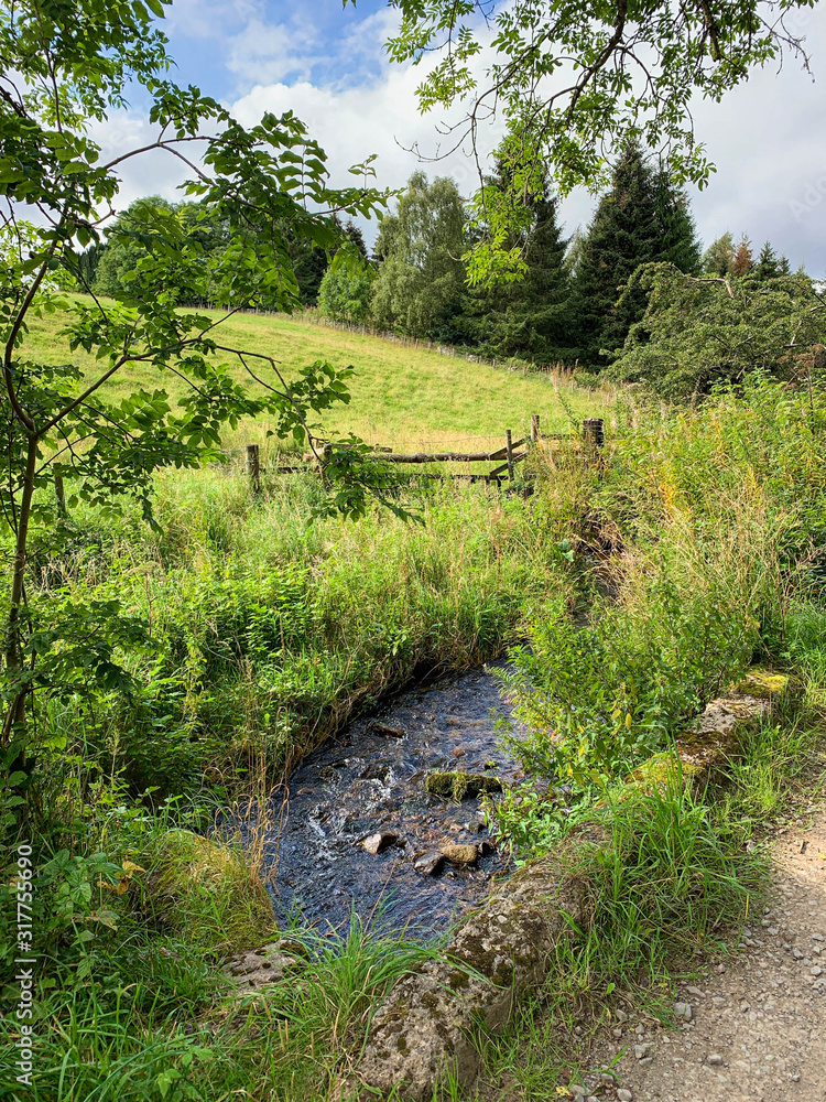 Kirk Burn, Cardrona Forest, Innerleithen, Scottish Borders, Scotland Kirk Burn, Cardrona Forest, Innerleithen, Scottish Borders, Scotland