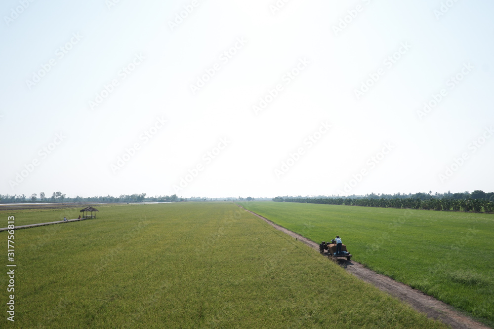 Obraz premium Wide field Green grass farmer tractor on road farm