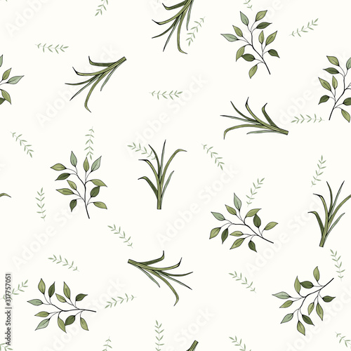 Abstract green leave or foliage on white background.