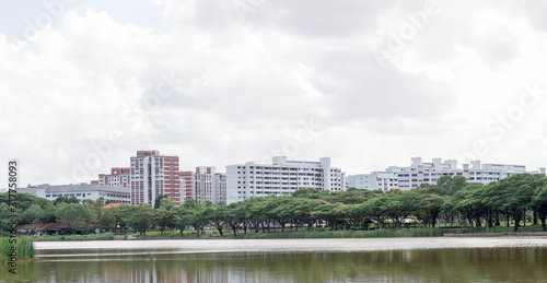 Tall grasses with river and residential condominium background © Bill