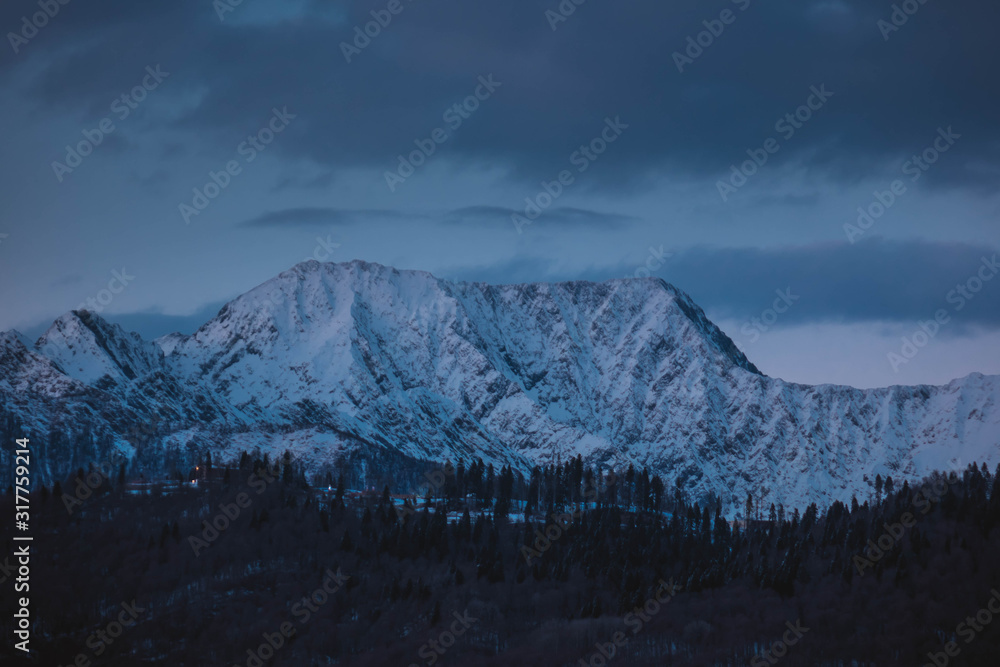 snowy mountains at night with forest