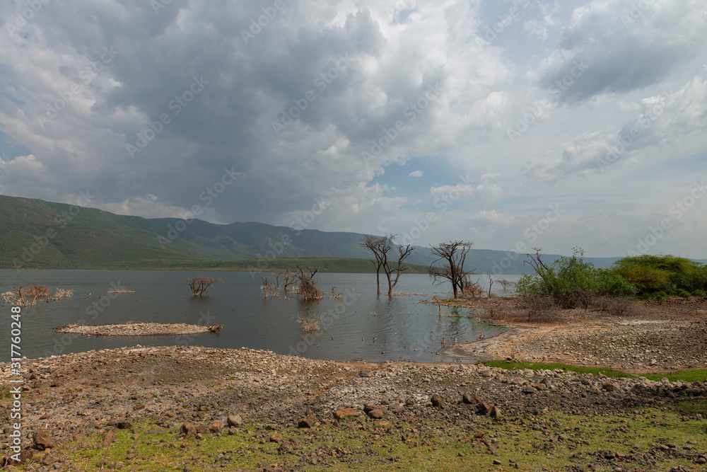 Dry Arid landscape of Lake Bogoria, Kenya, Africa Dry Arid landscape of Lake Bogoria, Kenya, Africa