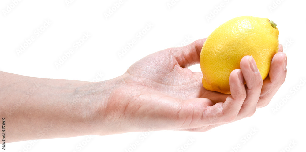 lemon in hand isolated on white background lemon in hand isolated on white background