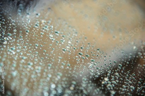 Water drops on a glass