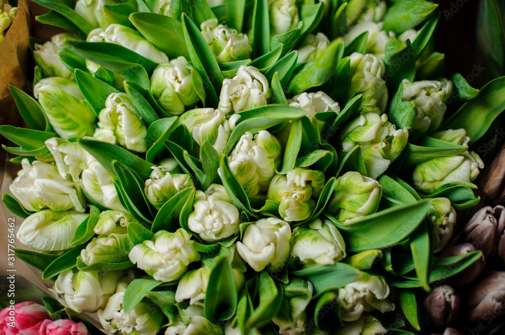 Obraz premium Beautiful bouquet of white tulips with a green leaves in the transparent wrapping paper