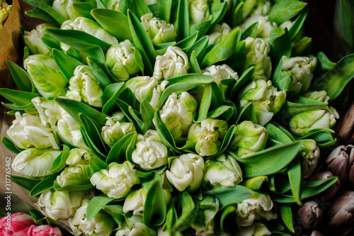 Beautiful bouquet of white tulips with a green leaves in the transparent wrapping paper