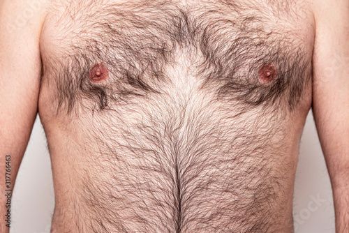 Close-up Part of hairy Body of Man, Male Chest with Hair