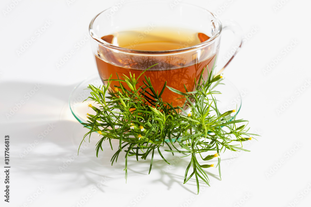 Licorice herb with cup of tea on white background, close up Licorice herb with cup of tea on white background, close up