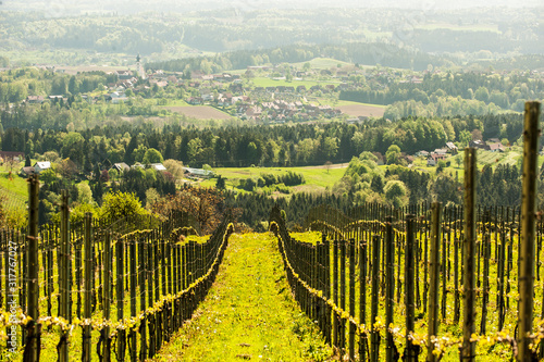 Austria, Styria, Western Styria, Deutschlandsberg, view to grapevines and valley photo