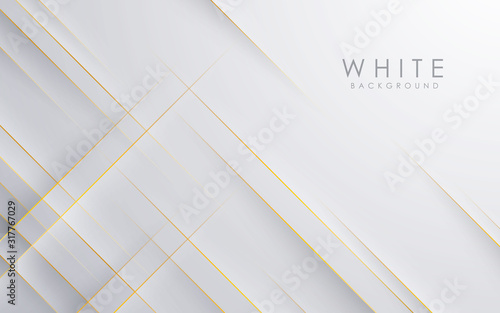 Modern abstract light silver background vector. Elegant concept design with golden line.