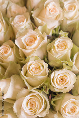 White rose bouquet on Valentine s day