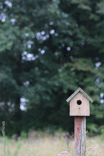 A peaceful rural scene of a rustic wooden birdhouse in a meadow habitat of grasses and flowers, with copy space
