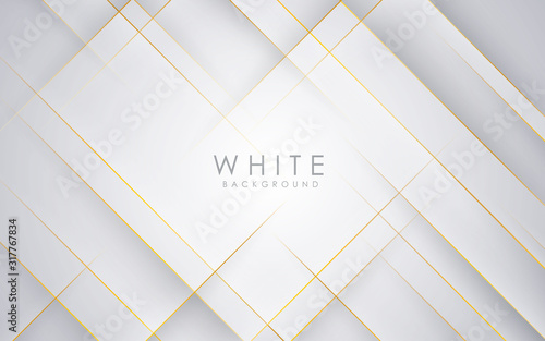 Modern abstract light silver background vector. Elegant concept design with golden line.
