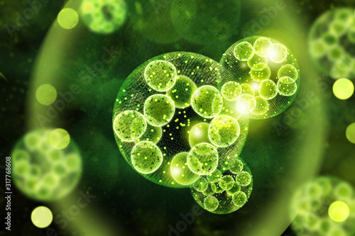 Stampa su tela Green Algae Cells 3D Illustration