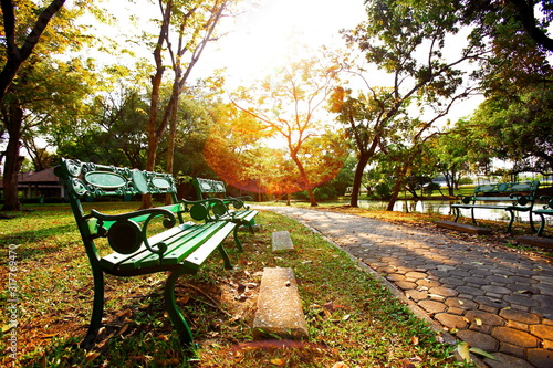 The atmosphere of the park in the evening consists of chairs, paths and shady trees in the Rama 9 Park(Suan luang Rama 9).