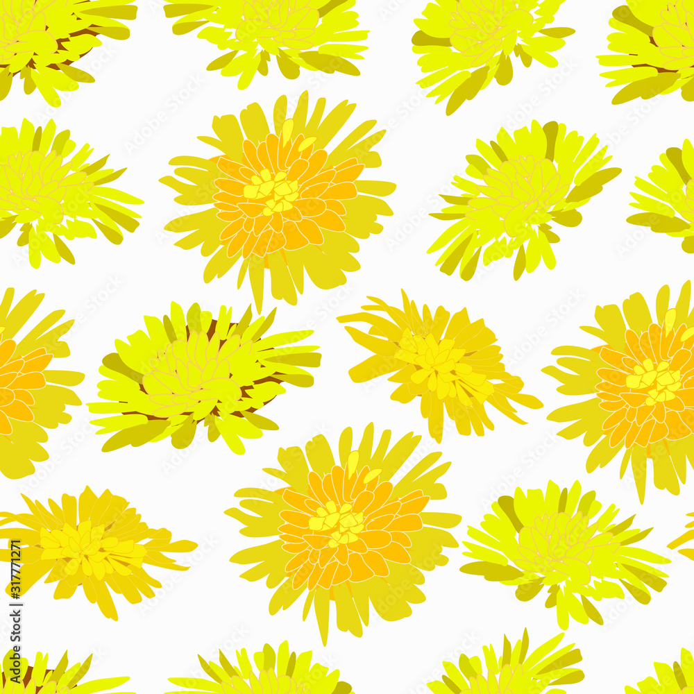 Pattern of spring flowers dandelions and tussilago Pattern of spring flowers dandelions and tussilago