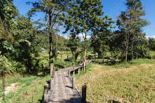 Bamboo bridge in Pai Thailand. Popular tourist destination in North of Thailand. Long wooden bamboo path through rice fields.