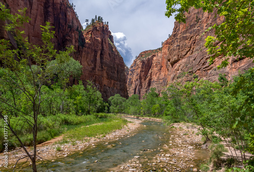 Utah, USA - River in the Canyon of Zion National Park © Maks_Ershov