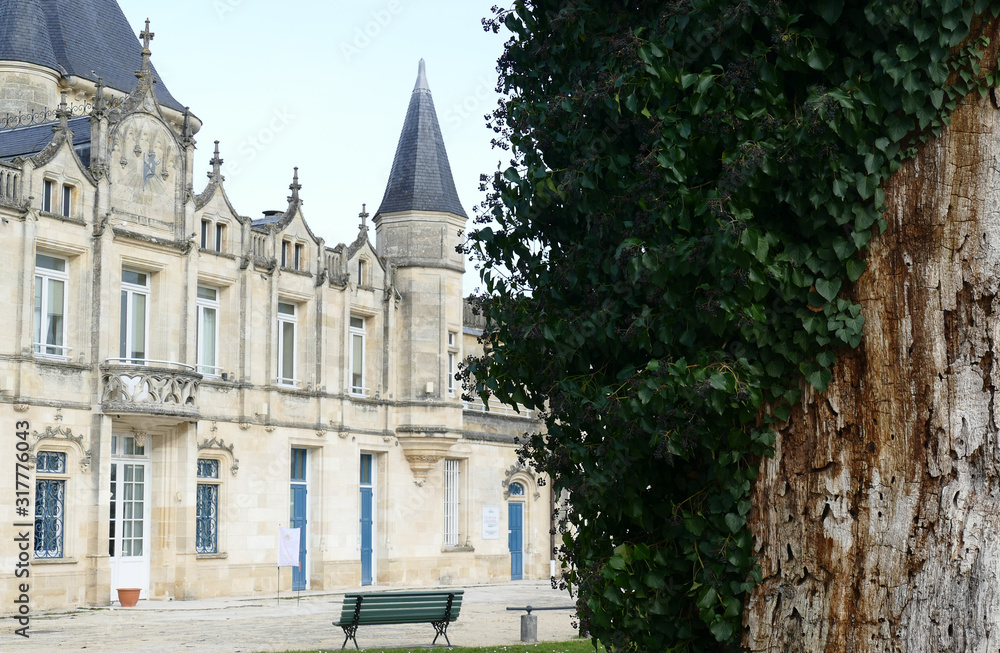 Naklejka premium Closeup architectural details of ancient historic castle or chateau in France - in the background of an old tree