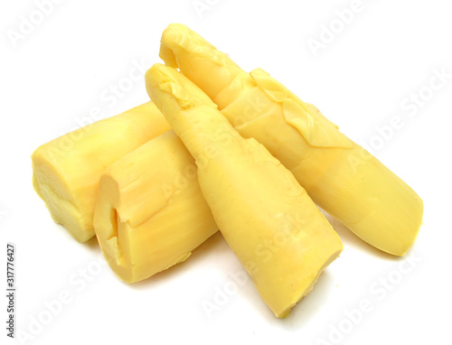Принти на полотні Bamboo shoot on white background