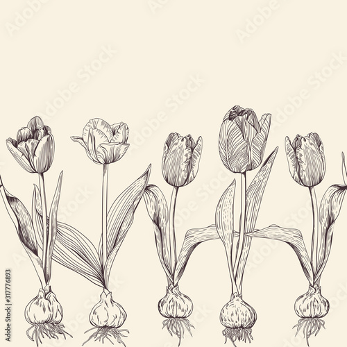 Canvas from a set of tulip in vintage style