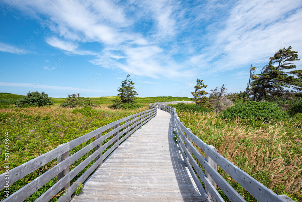 Canada,?Prince Edward Island,?Greenwich, Empty boardwalk in?Prince Edward Island National Park Canada,?Prince Edward Island,?Greenwich, Empty boardwalk in?Prince Edward Island National Park