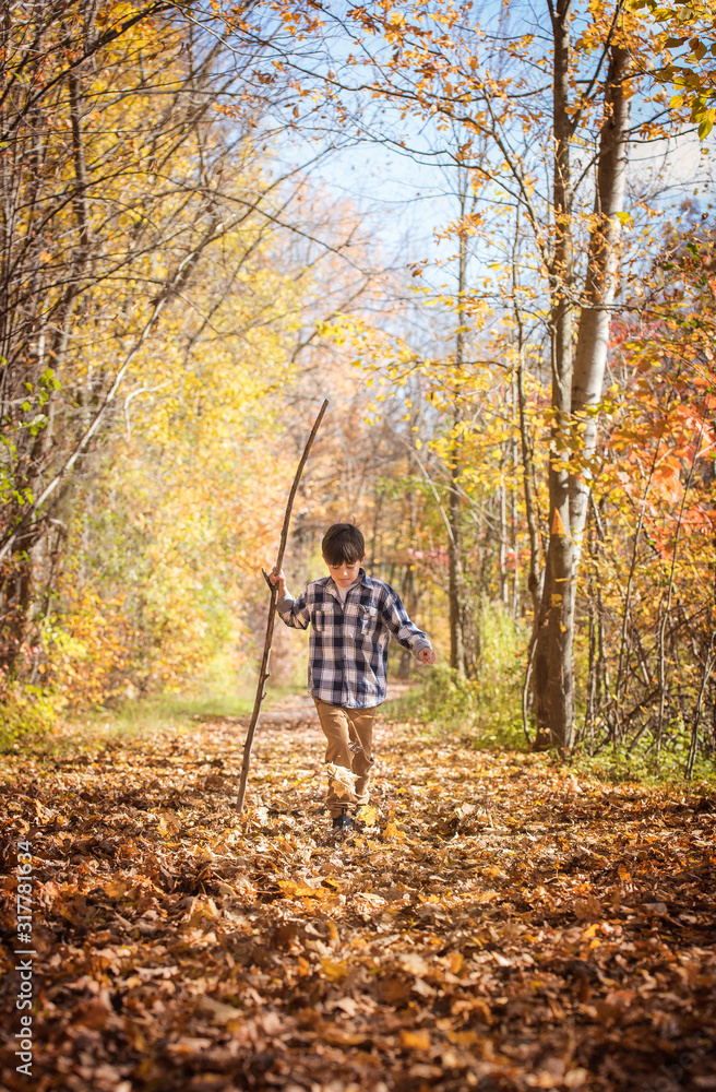 Young boy walking on leaf covered path with a big stick on autumn day. Young boy walking on leaf covered path with a big stick on autumn day.