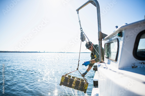 Pulling pots for conch shellfishing on Narragansett Bay photo