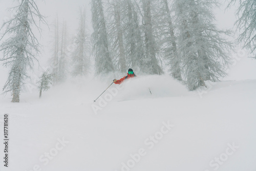 Skier In Powder at Wolf Creek photo