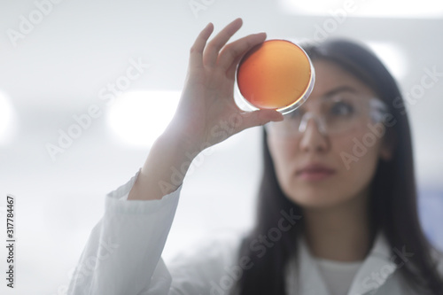 asia woman with petridish in a hospital photo