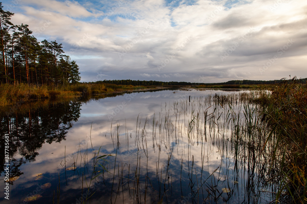 Pictursque pond lanscape. Still, calm water with white clouds reflected on pond surface. Wetland. Pictursque pond lanscape. Still, calm water with white clouds reflected on pond surface. Wetland.