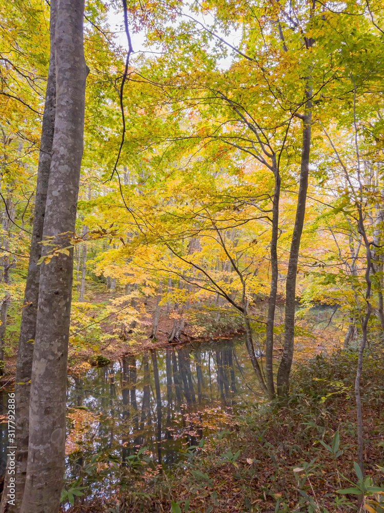 Obraz premium Beautiful fall color of the Tsutanuma area