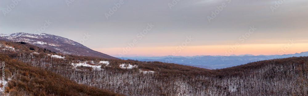 Panoramic view of a forest on a snow covered mountain with distant mountain layers and soft colors of a sunset sky