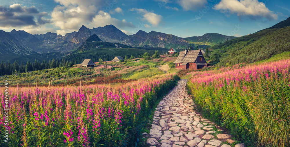 Fototapeta premium krajobraz górski, panorama Tatr, Polska kolorowe kwiaty i domki w Dolinie Gąsienicowej (Hala Gąsienicowa), lato