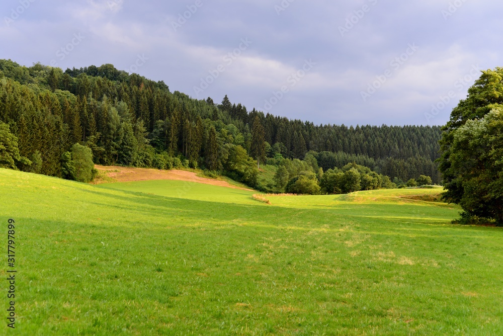 Landscape with meadow and forest in hills
