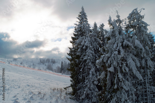 Winter mountain landscape, Carpathian mountains, Ukraine