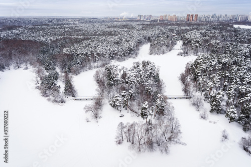 Winter forest and lake. Aerial