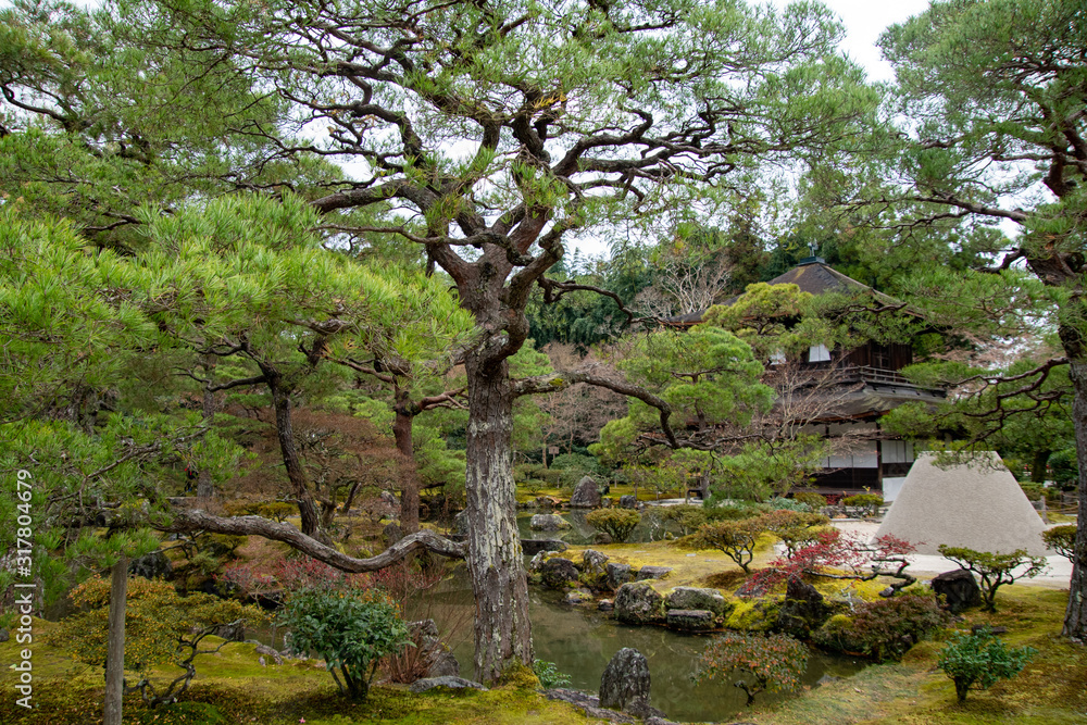 Fototapeta premium japanese garden