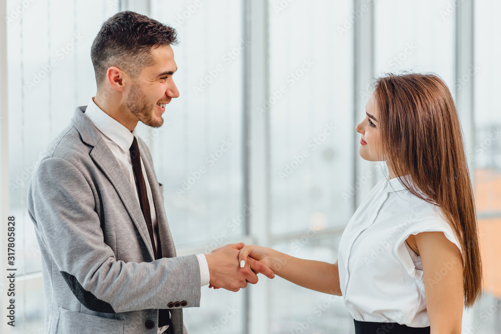 Job applicant having interview with HR manager in office.