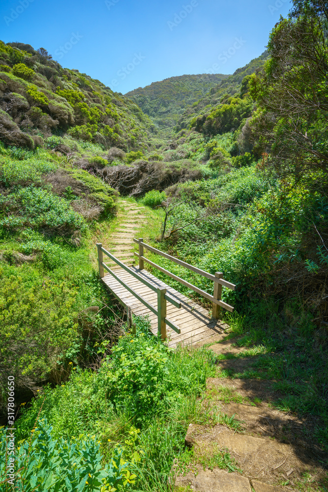hiking the great ocean walk in victoria, australia hiking the great ocean walk in victoria, australia