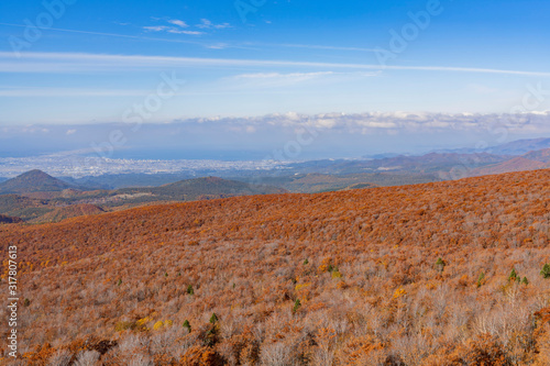 Aerial fall color of the Hakkoda Mountains