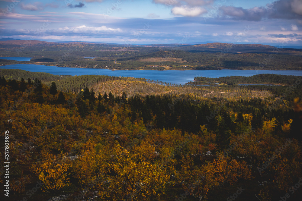 Swedish autumn fall vibrant landscape during hiking to Kurravaara mountain in Norrbotten county, Kiruna Municipality, Northern Sweden