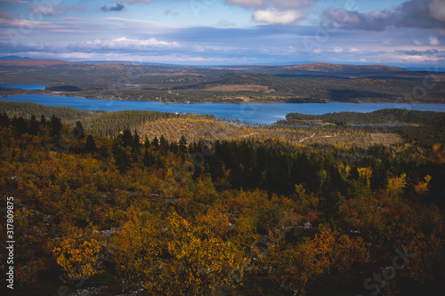 Swedish autumn fall vibrant landscape during hiking to Kurravaara mountain in Norrbotten county, Kiruna Municipality, Northern Sweden