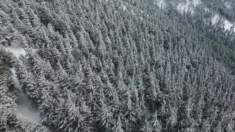 Aerial view of winter forest. Winter landscape countryside. Aerial photography of snowy forest. Captured from above with a drone. Aerial view of winter forest. Winter landscape countryside. Aerial photography of snowy forest. Captured from above with a drone.