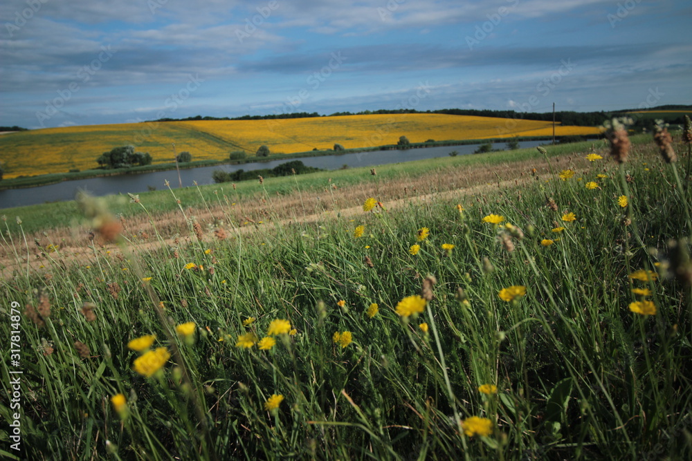 Fototapeta premium Fields, grass, flowers and forests in Hungary.