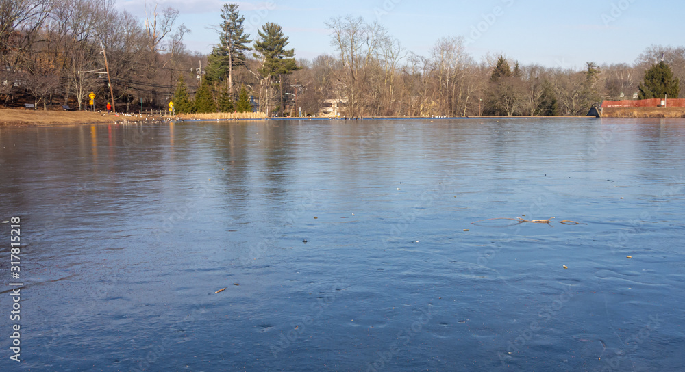 Fototapeta premium by the partially frozen lake on a cold sunny winter day